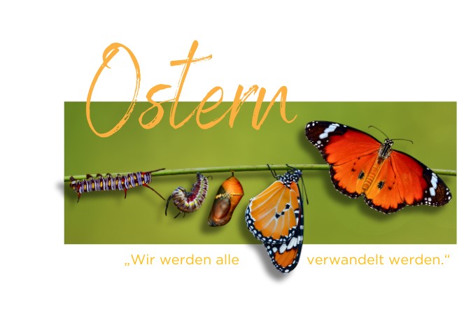 Ostern Verwandlung Schmetterling